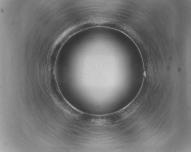 X0000060750440200511241707