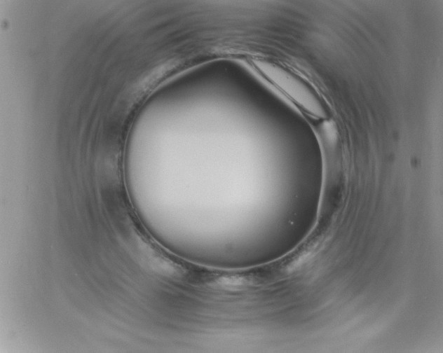 X0000060750441200511241707