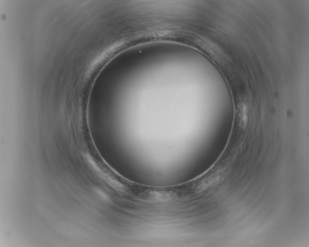 X0000060750442200511241707