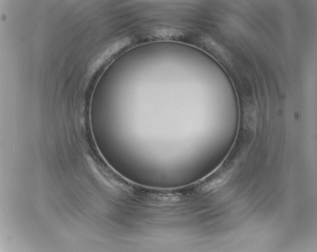 X0000060750443200511241707