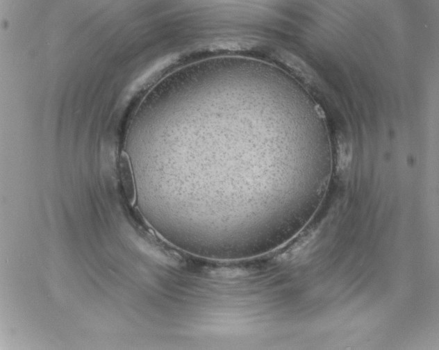 X0000060750444200511241707