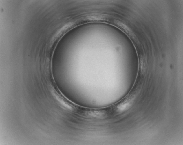 X0000060750445200511241707