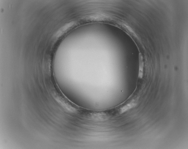 X0000060750446200511241707