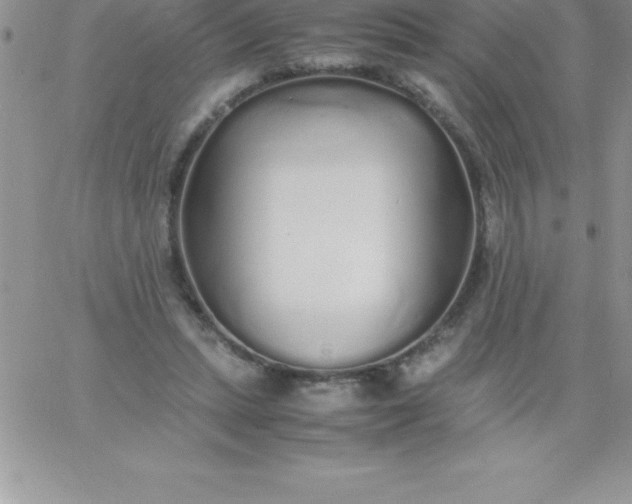 X0000060750447200511241707