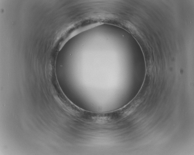 X0000060750448200511241707