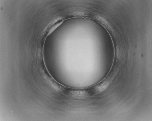 X0000060750449200511241707