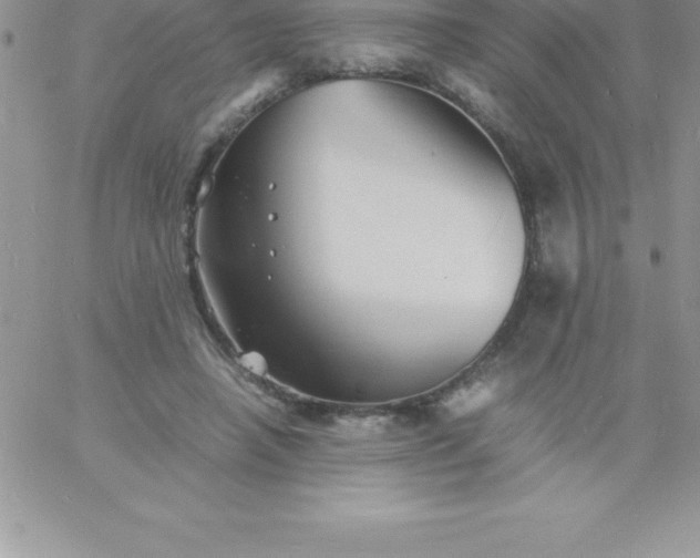 X0000060750450200511241707