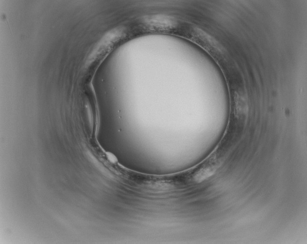 X0000060750451200511241707