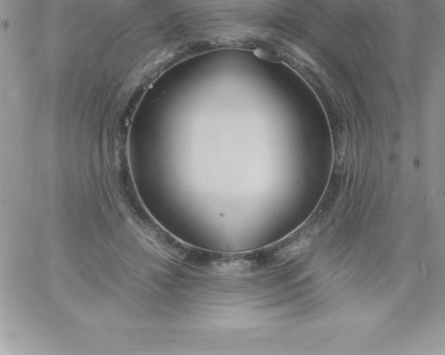 X0000060750452200511241707