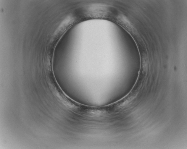 X0000060750453200511241707