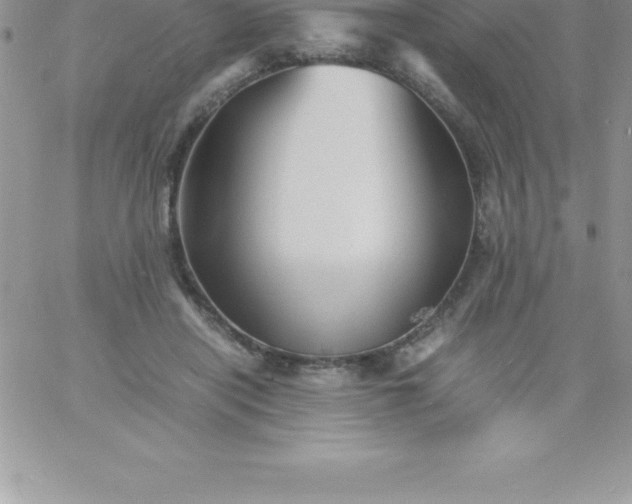 X0000060750454200511241707