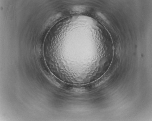 X0000060750455200511241707