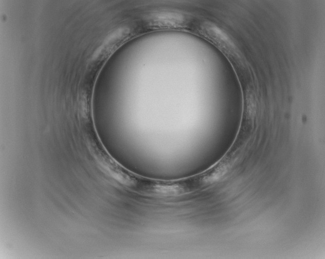 X0000060750457200511241707