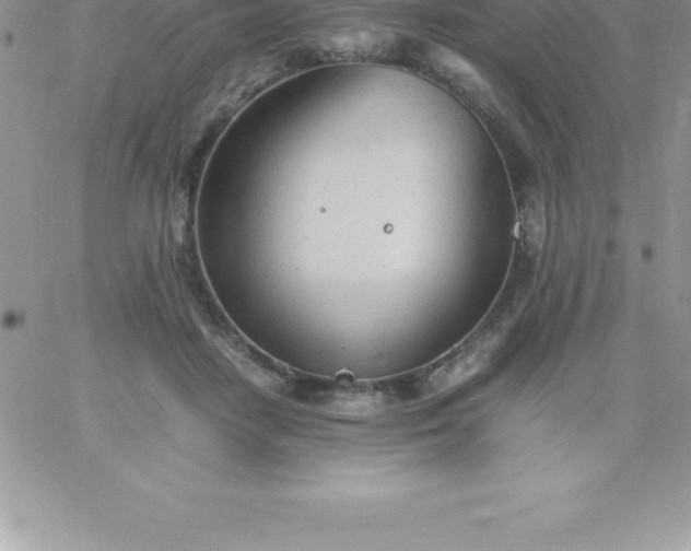 X0000060750458200511241707