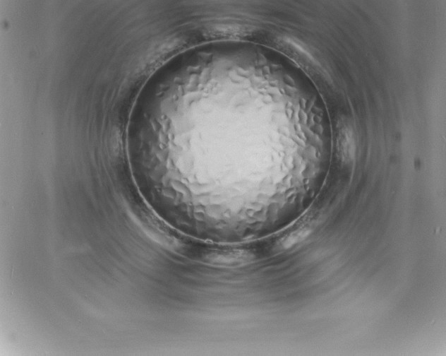 X0000060750459200511241707