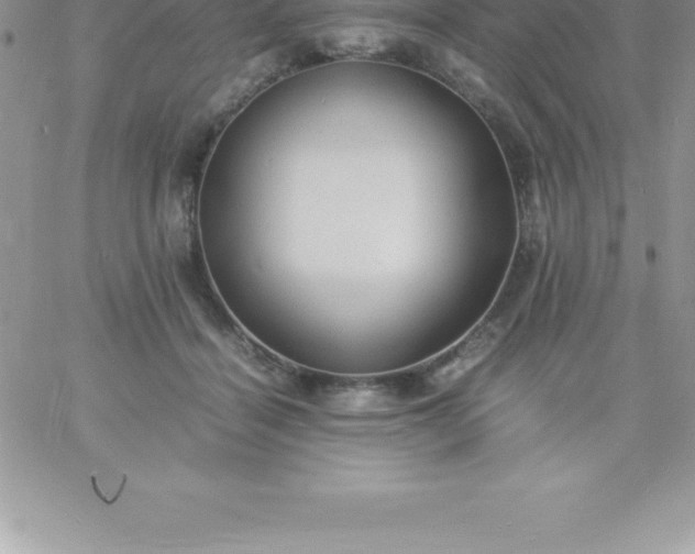 X0000060750460200511241707