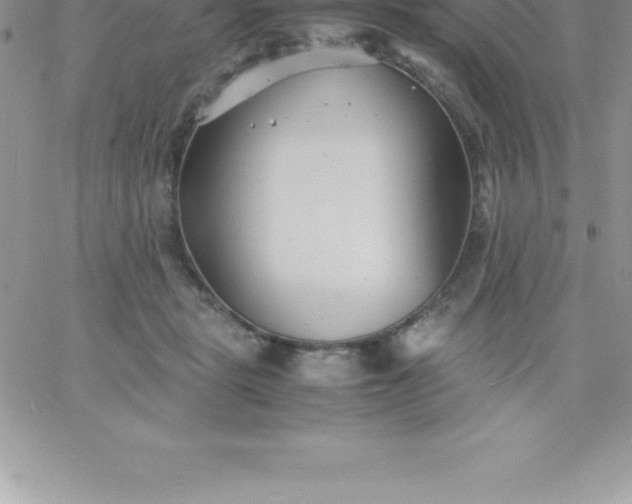 X0000060750461200511241707