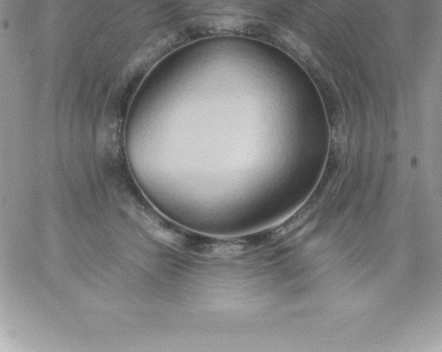 X0000060750462200511241707