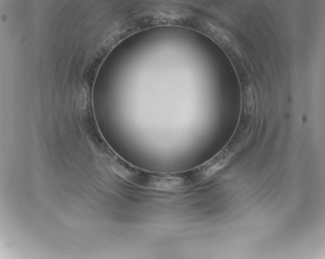 X0000060750463200511241707