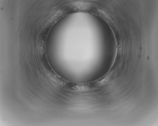 X0000060750464200511241707