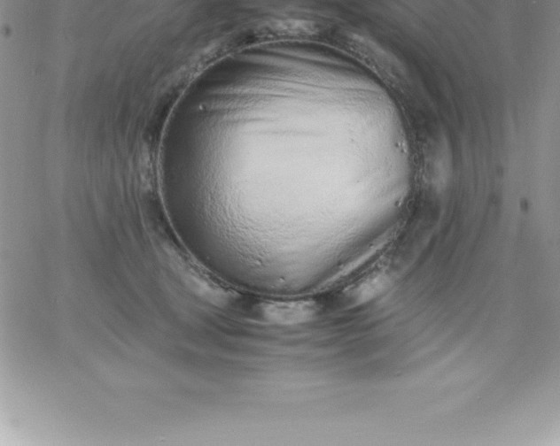 X0000060750465200511241707