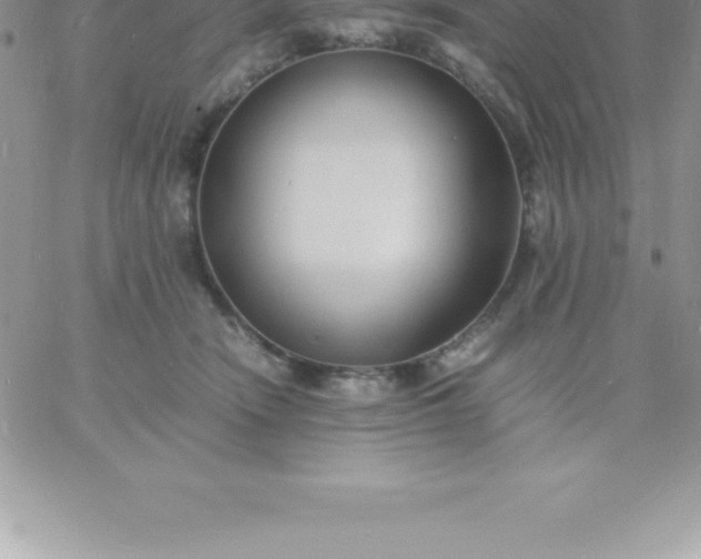 X0000060750466200511241707