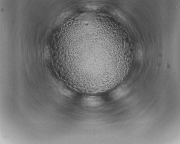 X0000060750467200511241707