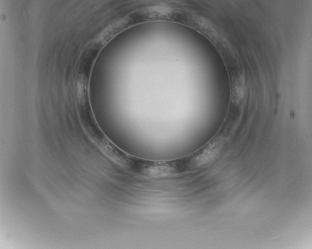 X0000060750468200511241707