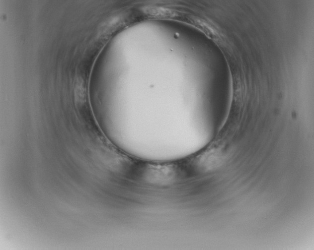 X0000060750469200511241707