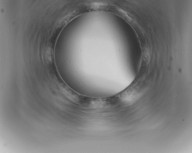 X0000060750470200511241707