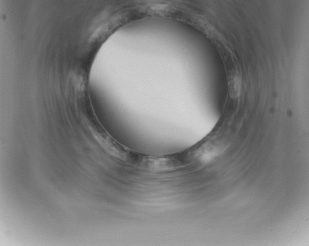 X0000060750472200511241707