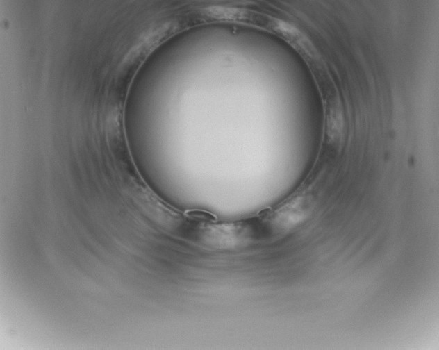 X0000060750473200511241708