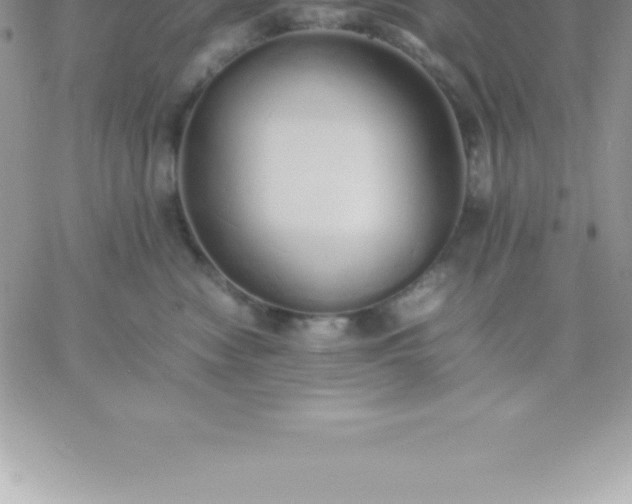 X0000060750474200511241708