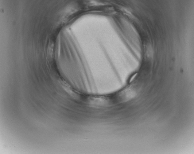 X0000060750475200511241708