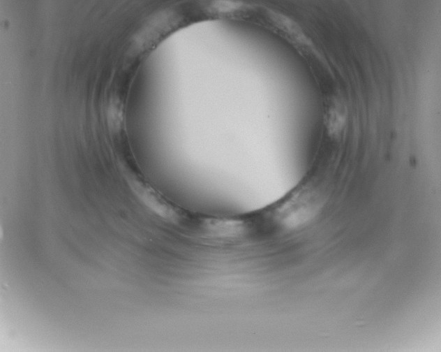 X0000060750476200511241708