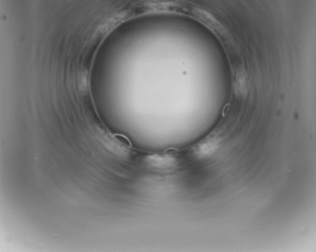 X0000060750477200511241708