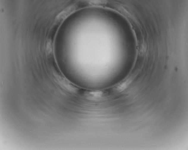 X0000060750478200511241708