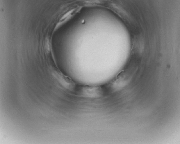 X0000060750479200511241708