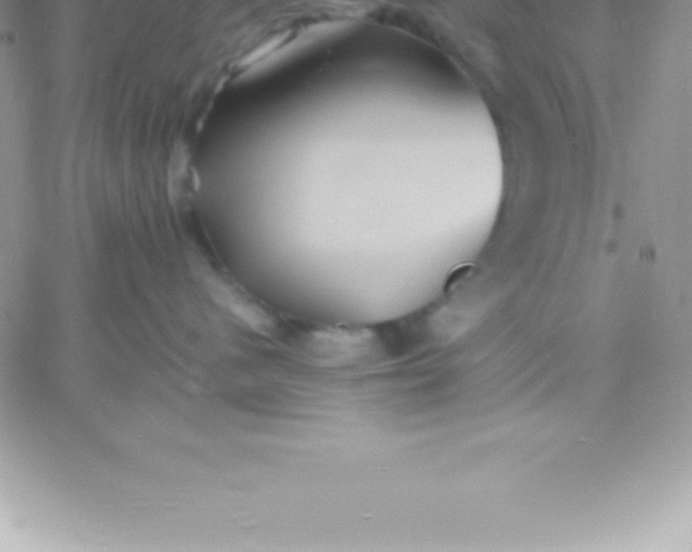 X0000060750480200511241708