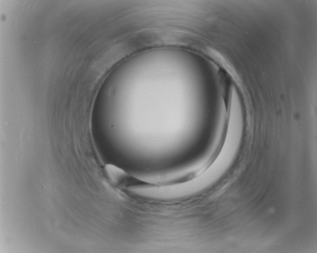 X0000060750481200511241707