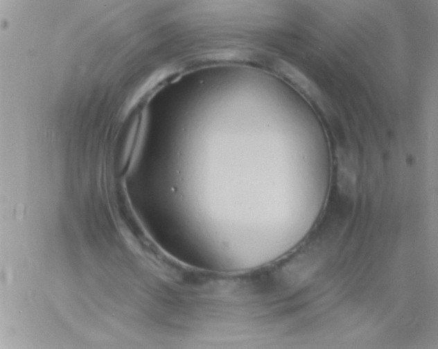 X0000060750482200511241707