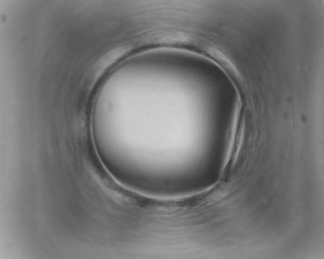 X0000060750483200511241707