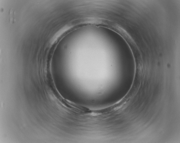 X0000060750484200511241707