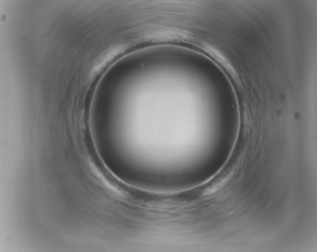 X0000060750485200511241707