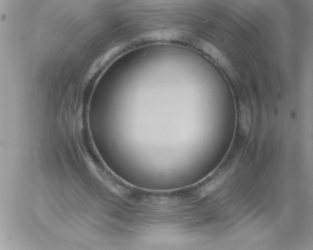 X0000060750486200511241707