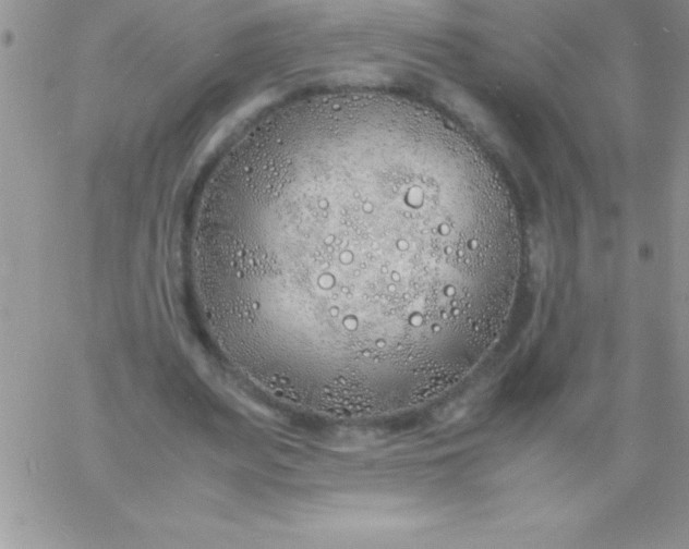 X0000060750487200511241707