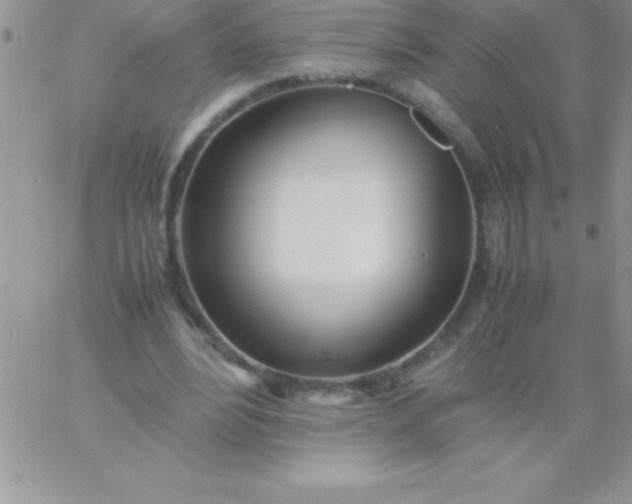 X0000060750488200511241707