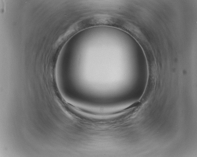 X0000060750489200511241707