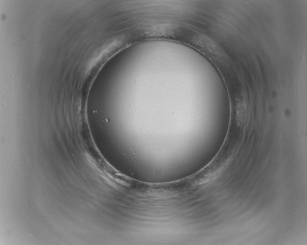 X0000060750490200511241707