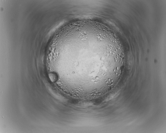 X0000060750491200511241707